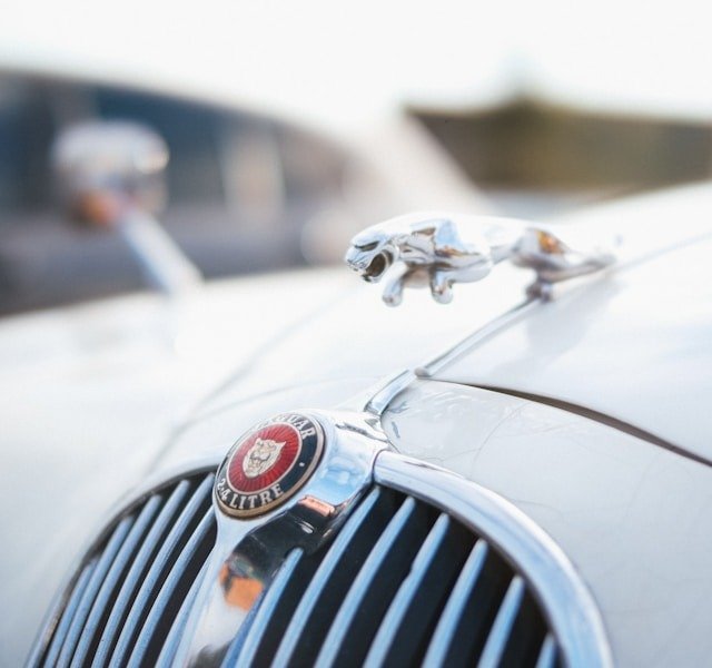 Jaguar